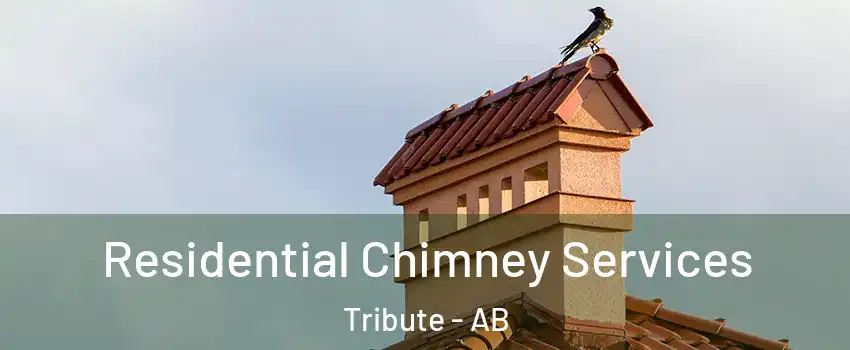  Residential Chimney Services Tribute - AB