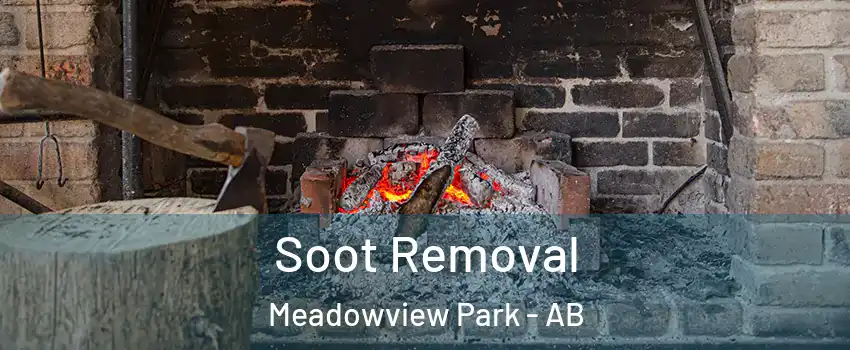  Soot Removal Meadowview Park - AB