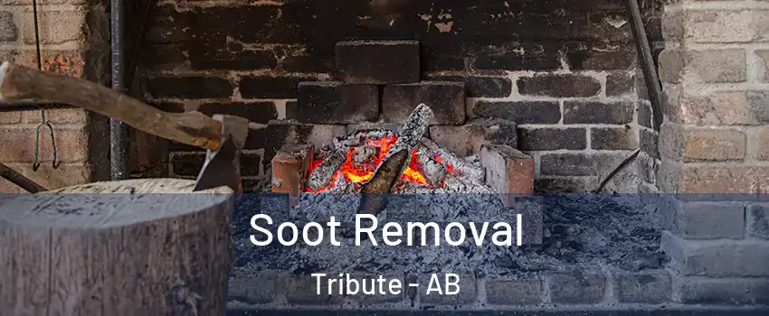  Soot Removal Tribute - AB