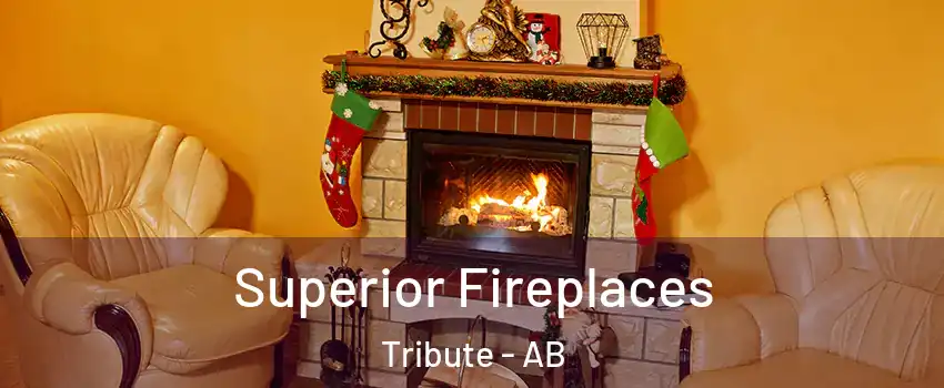  Superior Fireplaces Tribute - AB
