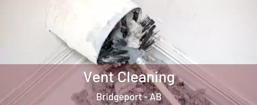  Vent Cleaning Bridgeport - AB
