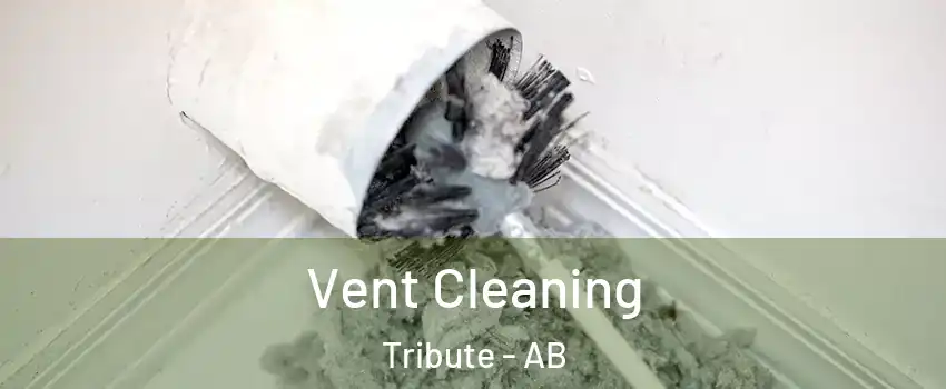  Vent Cleaning Tribute - AB