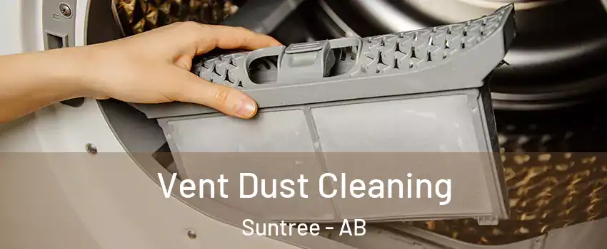  Vent Dust Cleaning Suntree - AB