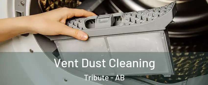  Vent Dust Cleaning Tribute - AB