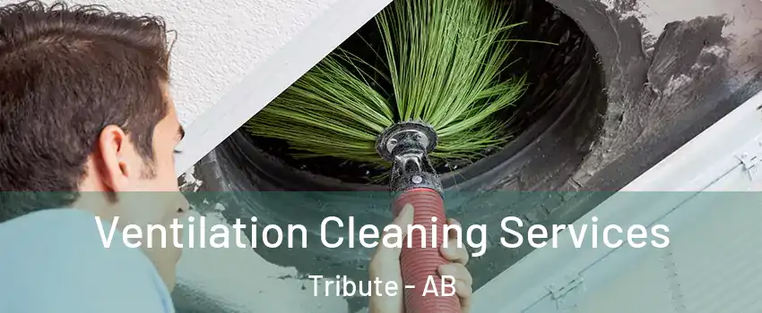  Ventilation Cleaning Services Tribute - AB