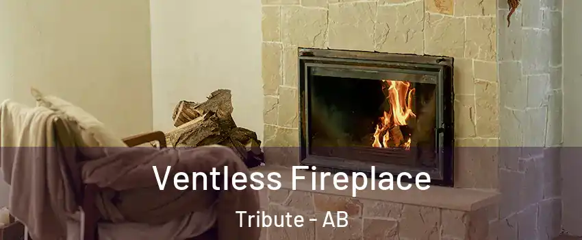  Ventless Fireplace Tribute - AB
