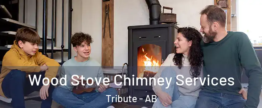  Wood Stove Chimney Services Tribute - AB