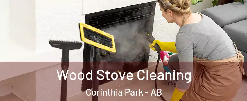  Wood Stove Cleaning Corinthia Park - AB