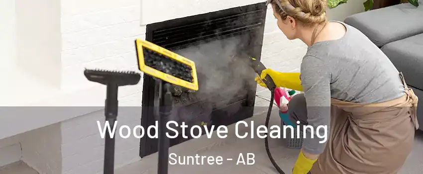  Wood Stove Cleaning Suntree - AB