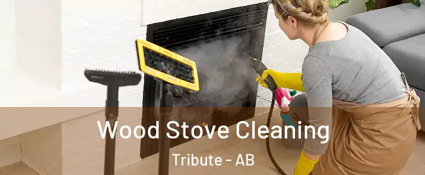  Wood Stove Cleaning Tribute - AB