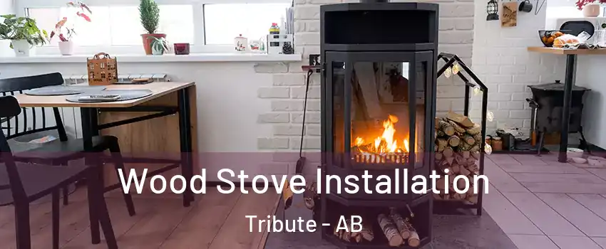  Wood Stove Installation Tribute - AB