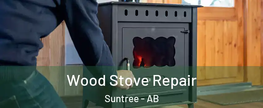  Wood Stove Repair Suntree - AB