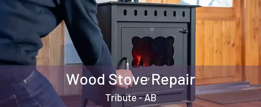  Wood Stove Repair Tribute - AB